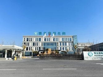 Shandong Saikesaisi Hydrogen Energy Co., Ltd производственная линия производителя